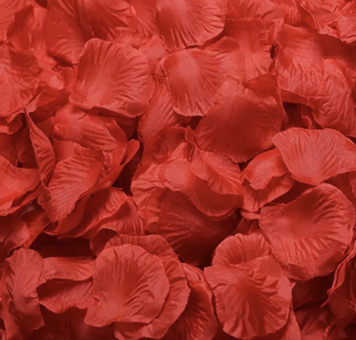 500 Rozenblaadjes Rood - Charme Bijoux