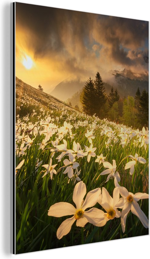 Aluminium schilderij 60x80 cm - Wanddecoratie metaal - Bloemenveld - Heuvels - Zonsondergang - Berg - Natuur - Wit - Heuvels - Metalen muurdecoratie woonkamer - Decoratie industrieel - Foto op dibond - Industriële accessoires slaapkamer