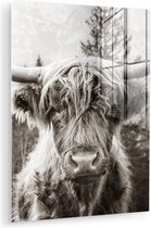 MuchoWow® Tableau sur verre 30x40 cm - Tableau acrylique sur verre - Highlander écossais - Vache - Animaux - Zwart - Wit - Photo sur verre - Décoration murale salon - Décoration murale chambre - Peintures
