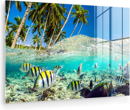 MuchoWow® Peinture sur verre - Mer - Pêche - Corail - 120x80 cm - Peintures sur verre acrylique - Photo sur Glas