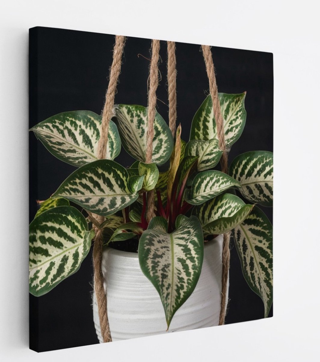 Saammp Canvas Schilderij - Hangplant - Natuur - Abstract - 100x100 - Foto op canvas - Wanddecoratie - Muurdecoratie Woonkamer - Kantoor Decoratie Multicolor