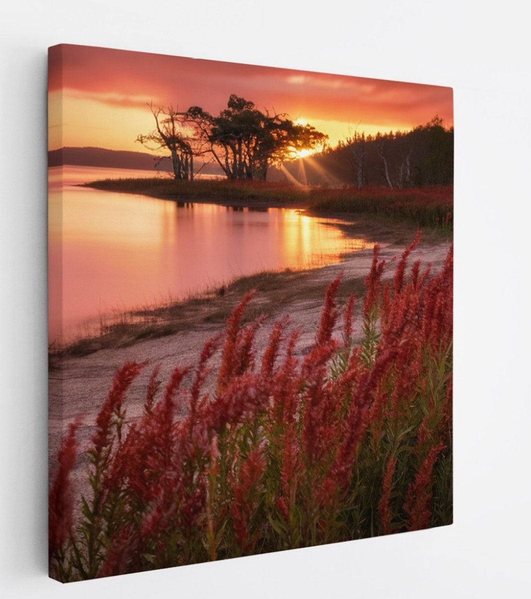 Saammp Canvas Schilderij - Rode Planten - Landschap - Zon - Bloemen - Natuur - 100x100 - Foto op canvas - Wanddecoratie - Muurdecoratie Woonkamer - Slaapkamer decoratie - Canvas Print Multicolor