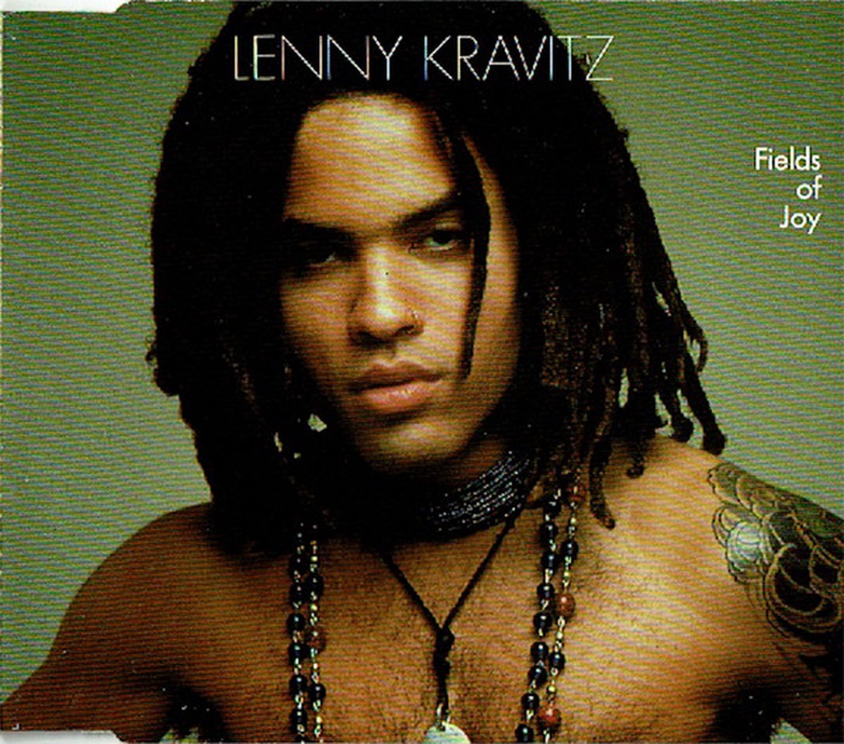 Lenny Kravitz – Fields Of Joy - 4 Track Cd Maxi Single