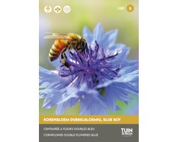 Korenbloem Blue Boy Zaden – Blauwe Bloemen – Bijvriendelijk – Bloemzaden Tuin | Tuin de Bruijn