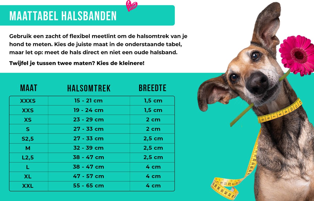 Sky Hondenhalsband L (Halsomvang 40-47 cm / 4 cm)
