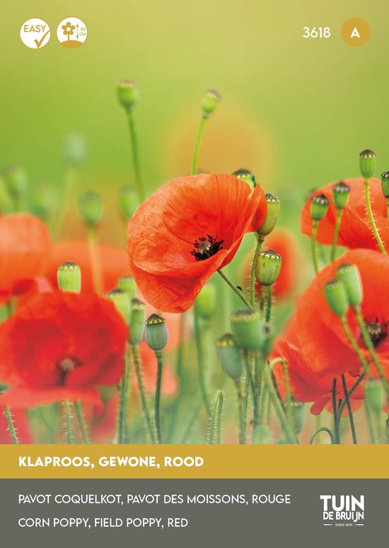 Klaproos Zaden Rood (Papaver Rhoeas) – Wilde Bloemen om Zelf te Zaaien – Bijenvriendelijke Tuinbloemen - Tuin de Bruijn® zaden