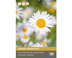 Margriet Alaska Zaden – Grootbloemige Witte Bloemen – Meerjarig – Snijbloem & Borderplant – ±300 Zaden – Tuin de Bruijn