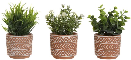 plant décorative Home ESPRIT Polyéthylène Ciment 12 x 12 x 17 cm (3 Pièces)