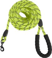 KCMultisupplies Laisse pour Chien 8 Mètres - Laisse Réfléchissante ...