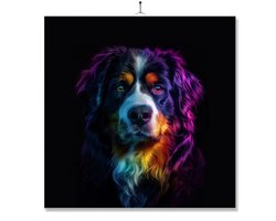 Tegel Met Opdruk | Close up | Regenboog | Berner Sennen