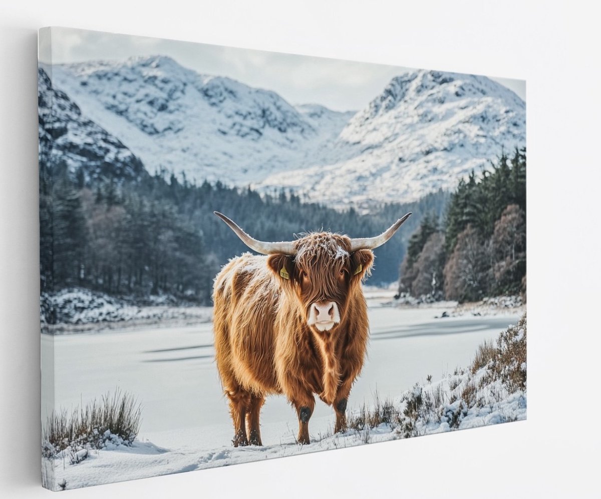 Saammp Canvas Schilderij - Schotse Hooglander Koe in de sneeuw - Landschap - Dieren - Natuur - 45x30 - Foto op canvas - Wanddecoratie - muurdecoratie Woonkamer - Slaapkamer decoratie - Canvas Print Multicolor
