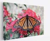 Saammp - Canvas Schilderij - Vlinder - Roze Bloemen - Dieren - Natuur - 60x40 - Foto op canvas - Wanddecoratie - muurdecoratie Woonkamer - Slaapkamer decoratie - Canvas Print