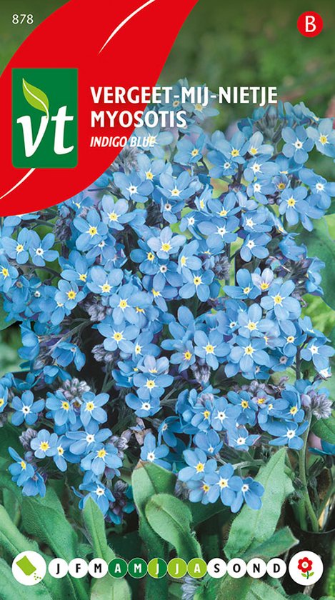 Vergeet-Mij-Nietje 'Indigo Blue' - Tapijtvormende Lentebloeier