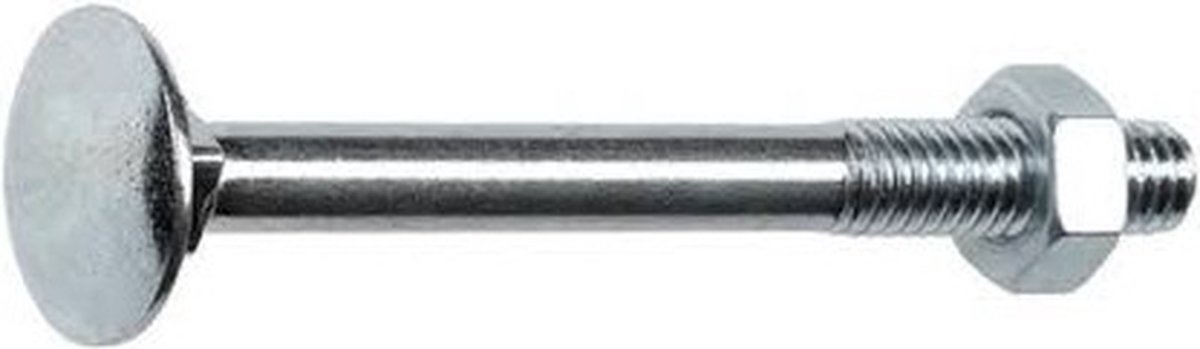 Slotbout met Moer verzinkt M 6 x 40 mm 50 stuks