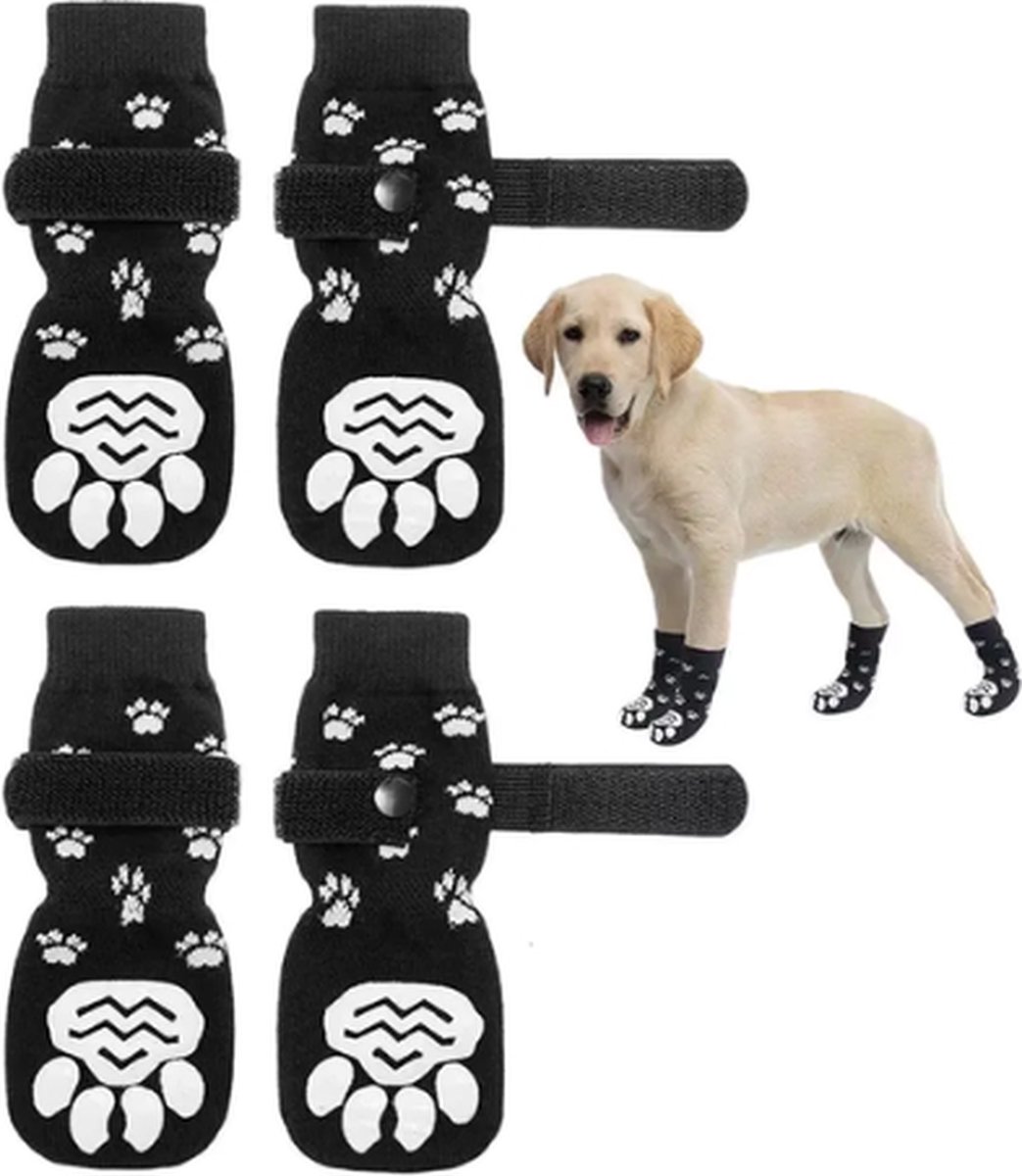 Hondennamen top 500 van 2023 • Honden Wereld