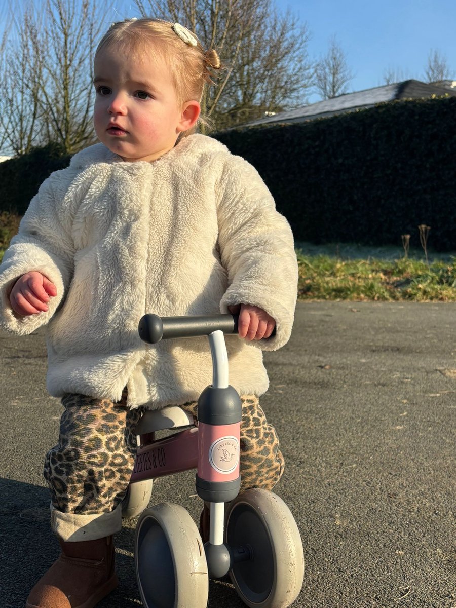 Liefjes & Co Loopfiets / Driewieler vanaf 1 Jaar Roze — afbeelding 2