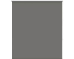 vidaXL - Rolgordijn - verduisterend - 130x150 - cm - stofbreedte - 126,6 - cm - grijs