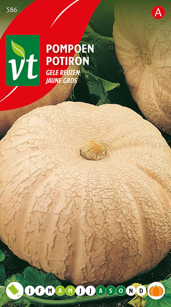 Pompoen Gele Reuzen Zaden - Ideaal voor Pompoensoep en Herfstdecoratie