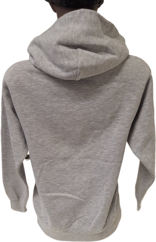 CHICAGO BULLS - SWEAT À CAPUCHE - GRIS - XL