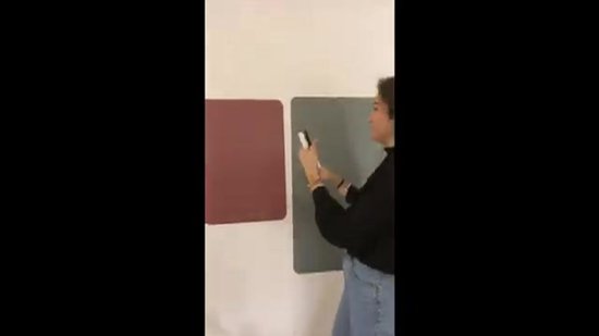 FERFLEX - Marqueur Witte - Pour tableaux magnétiques - Marker - effaçable