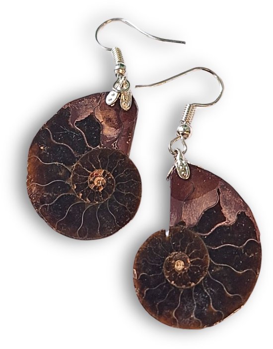Boucles d'oreilles en ammonite