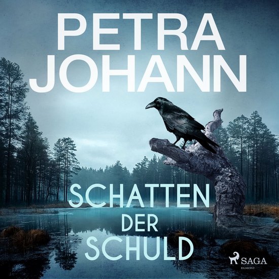 Schatten der Schuld - cover