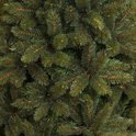 Volledige opname van dichte, groene kerstboomtakken met bruine stengels en fijne witte puntjes.