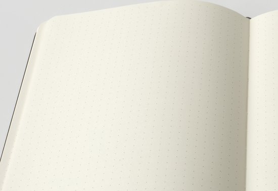 Lege, gepunkte pagina's van een Hieroglyphs Bullet Journal.