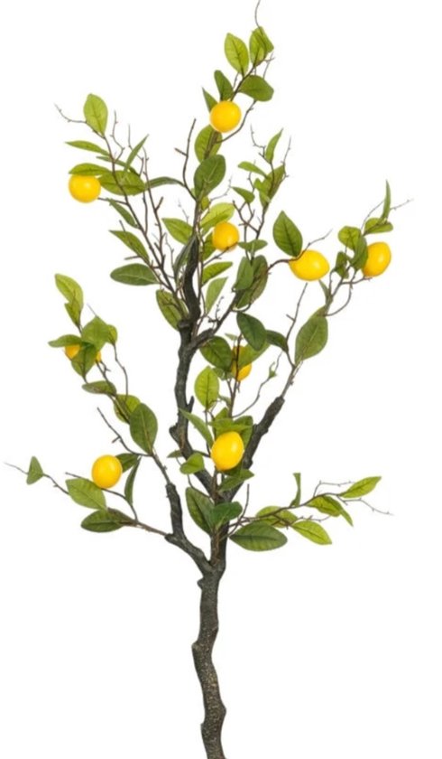 Citronnier artificiel Mica Decorations H120xP50cm