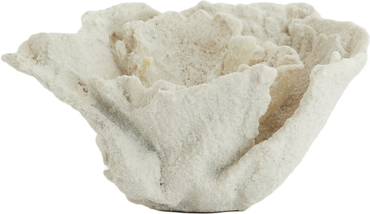Ornament CORAL - 23x16x13cm - Wit