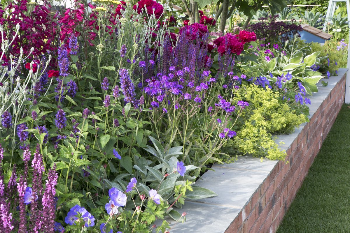 Tuinborder Lang Bloeiende Border Modeste Herwig (33 planten) - Bijen-Vlinders - Geurend - Snijbloemen - Vaste planten