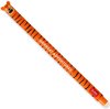 LEGAMI ERASABLE PEN TIJGER MET ORANJE INKT