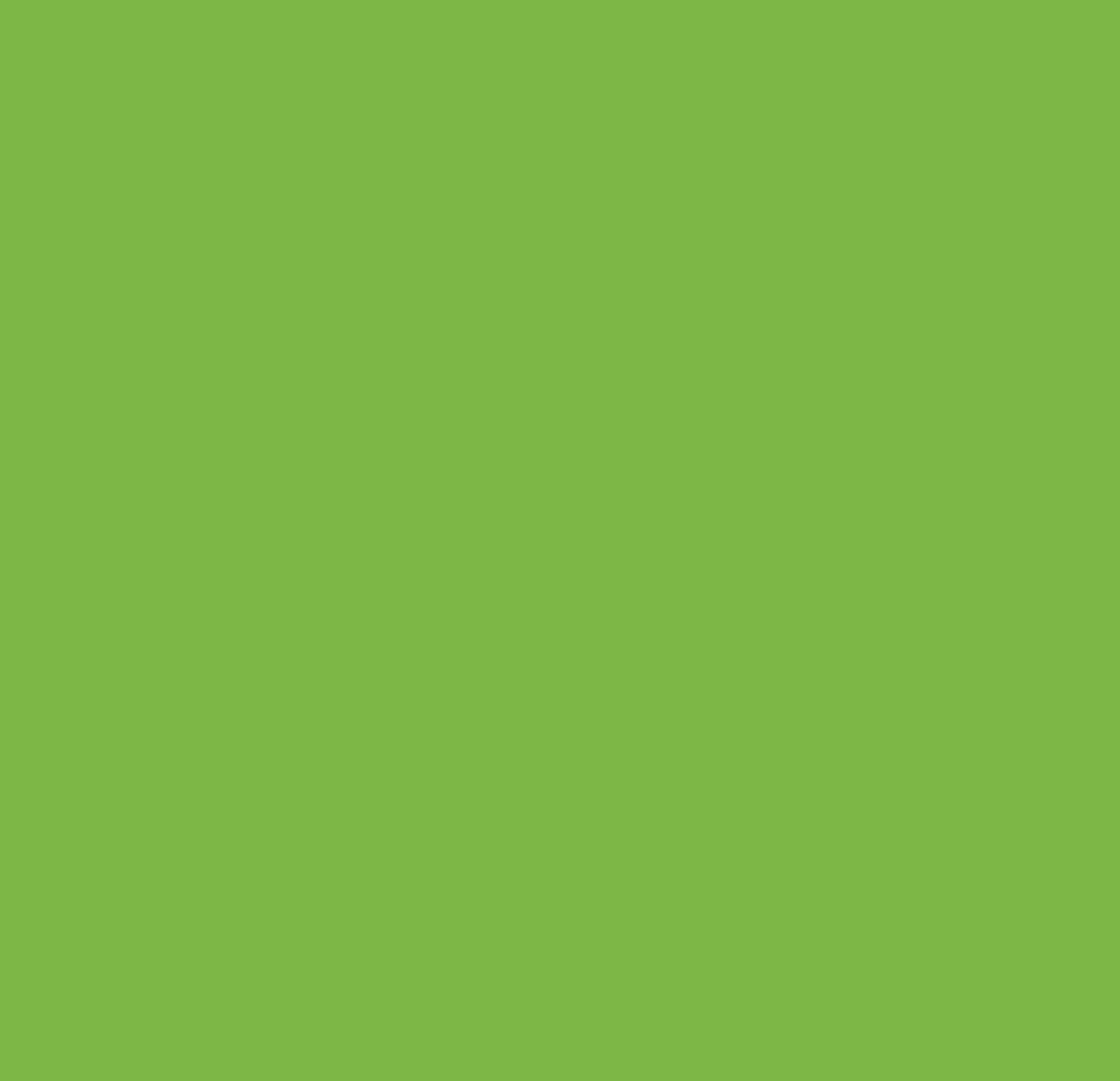 2LIF Fluor Zelfklevende Folie Mini rol groen 45cmx1,5mtr licht groen
