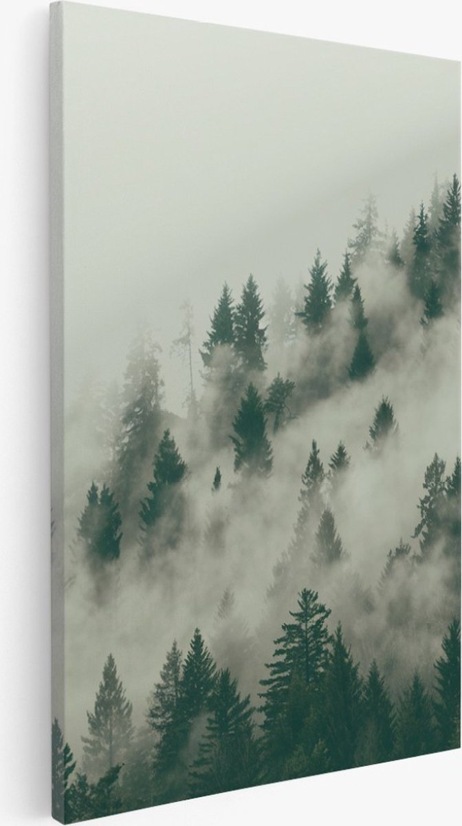 Saammp Canvas Schilderij - Mist tussen de bomen - Landschap - Natuur - 30x40 - Foto op canvas - Wanddecoratie - Muurdecoratie Woonkamer - Slaapkamer decoratie - Canvas Print Multicolor