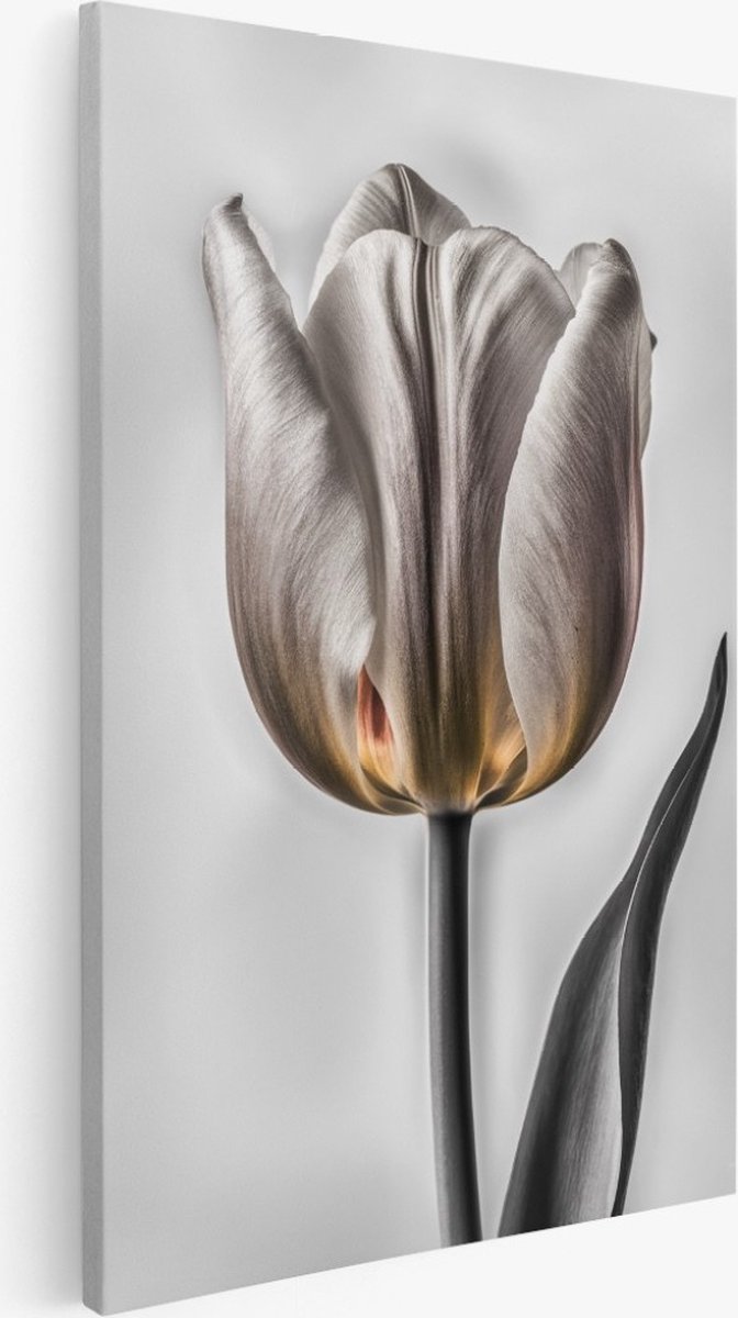 Saammp Canvas Schilderij - bloemen - Wit Goude Tulp - 100x150 - Foto op canvas - Wanddecoratie - Muurdecoratie Woonkamer - Kantoor Decoratie Multicolor
