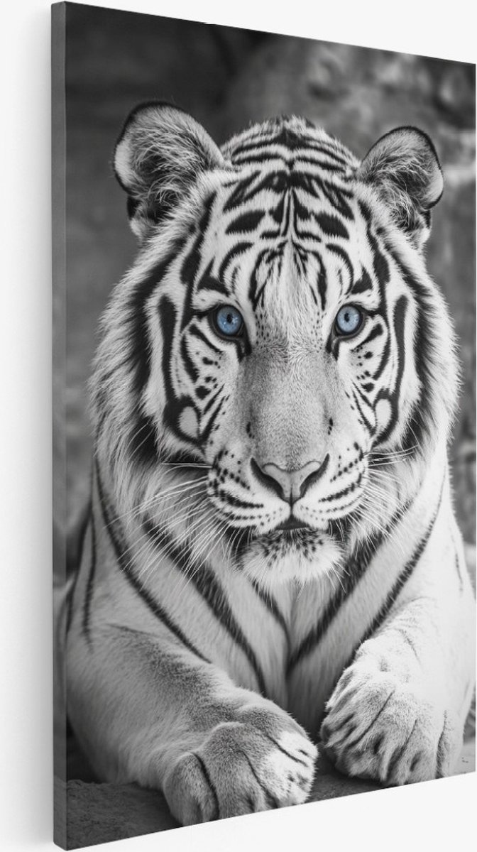 Saammp Canvas Schilderij - Witte Tijger met blauwe ogen - Natuur - Dieren - 40x50 - Foto op canvas - Wanddecoratie - Muurdecoratie Woonkamer - Slaapkamer decoratie - Canvas Print Multicolor