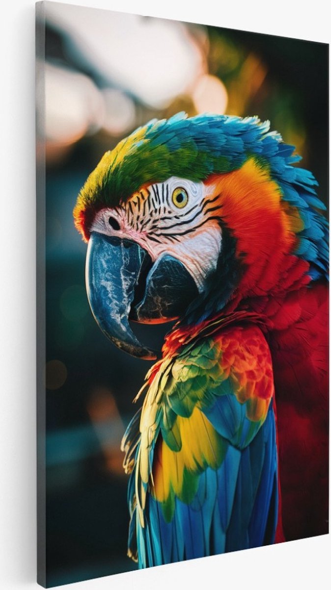 Saammp Canvas Schilderij - Kleurrijke Papegaai - Natuur - Dieren - 40x50 - Foto op canvas - Wanddecoratie - Muurdecoratie Woonkamer - Slaapkamer decoratie - Canvas Print Multicolor