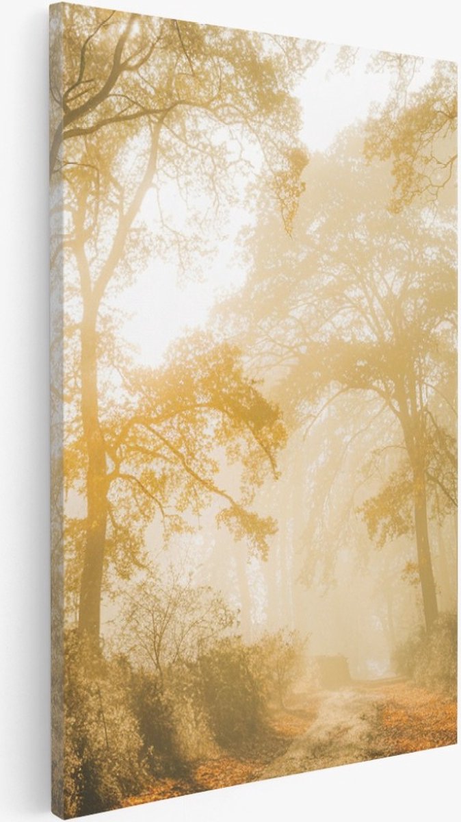 Saammp Canvas Schilderij - Lichtval tussen de Bomen - Landschap - Natuur - 100x150 - Foto op canvas - Wanddecoratie - Muurdecoratie Woonkamer - Slaapkamer decoratie - Canvas Print Multicolor