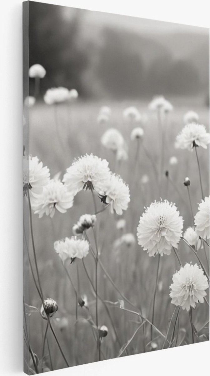 Saammp Canvas Schilderij - Landschap - Zwart-Wit - Bloemen van dichtbij - Natuur - 30x45 - Foto op canvas - Wanddecoratie - Muurdecoratie Woonkamer - Slaapkamer decoratie - Canvas Print Multicolor