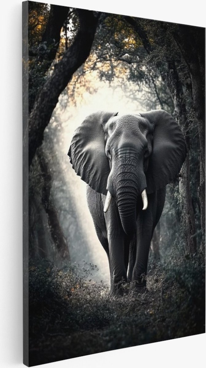 Saammp Canvas Schilderij - olifant - bos - Dieren - Natuur - 60x90 - Foto op canvas - Wanddecoratie - Muurdecoratie Woonkamer - Slaapkamer decoratie - Canvas Print Multicolor