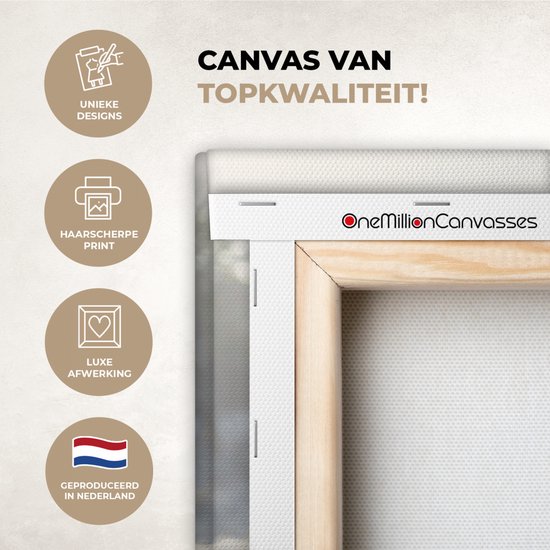 Canvas van topkwaliteit: unieke designs, haarscherpe print, luxe afwerking, geproduceerd in Nederland.