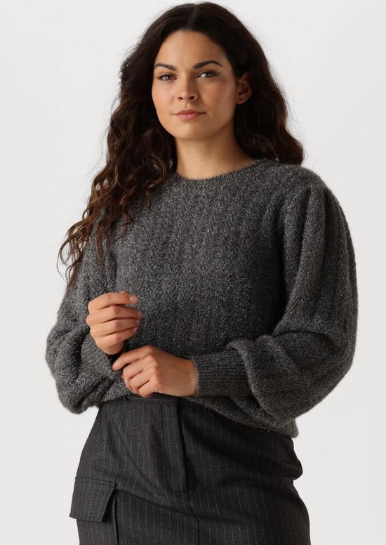 AAIKO Femme Pes 377 Truien & vesten Dames - Sweater - Hoodie - Vest- Grijs - Maat XXL
