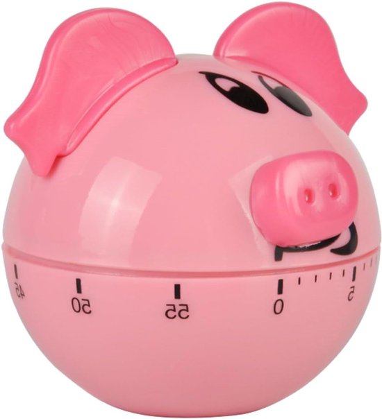 Visuele Timer Voor Kinderen - 2-in-1 Tijdmanager, Wekker, Countdown, 12/24 Uur Display, Roze, Met Batterij