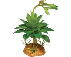 Repto Kunstplant Succulent Green 14x10x7 cm onderhoudsvrije terrarium schuilplaats