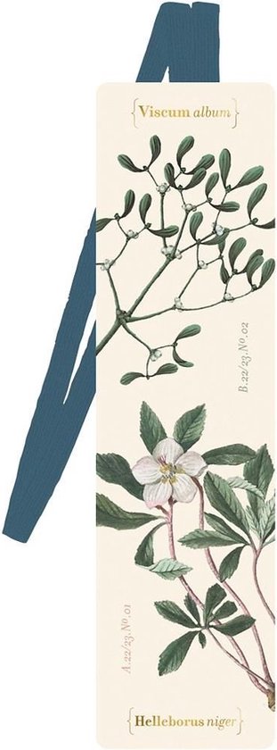 Boekenlegger met afbeelding van maretak ('Viscum album') en kerstroos ('Helleborus niger'), met blauw lint.