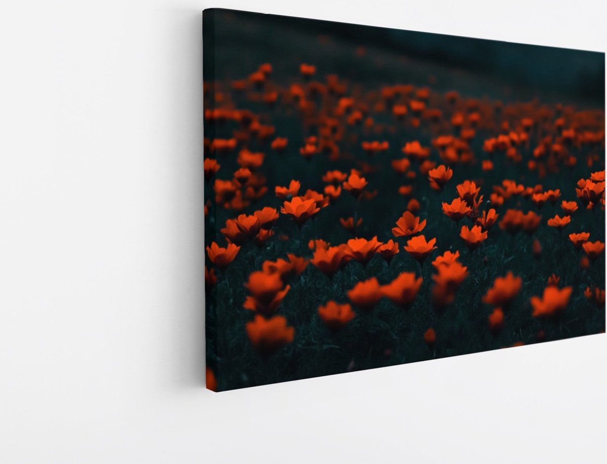 Saammp Canvas Schilderij - Oranje Bloemenveld - Natuur - Abstract - Kleurrijk - 30x20 - Foto op canvas - Wanddecoratie - Muurdecoratie Woonkamer - Kantoor Decoratie Multicolor
