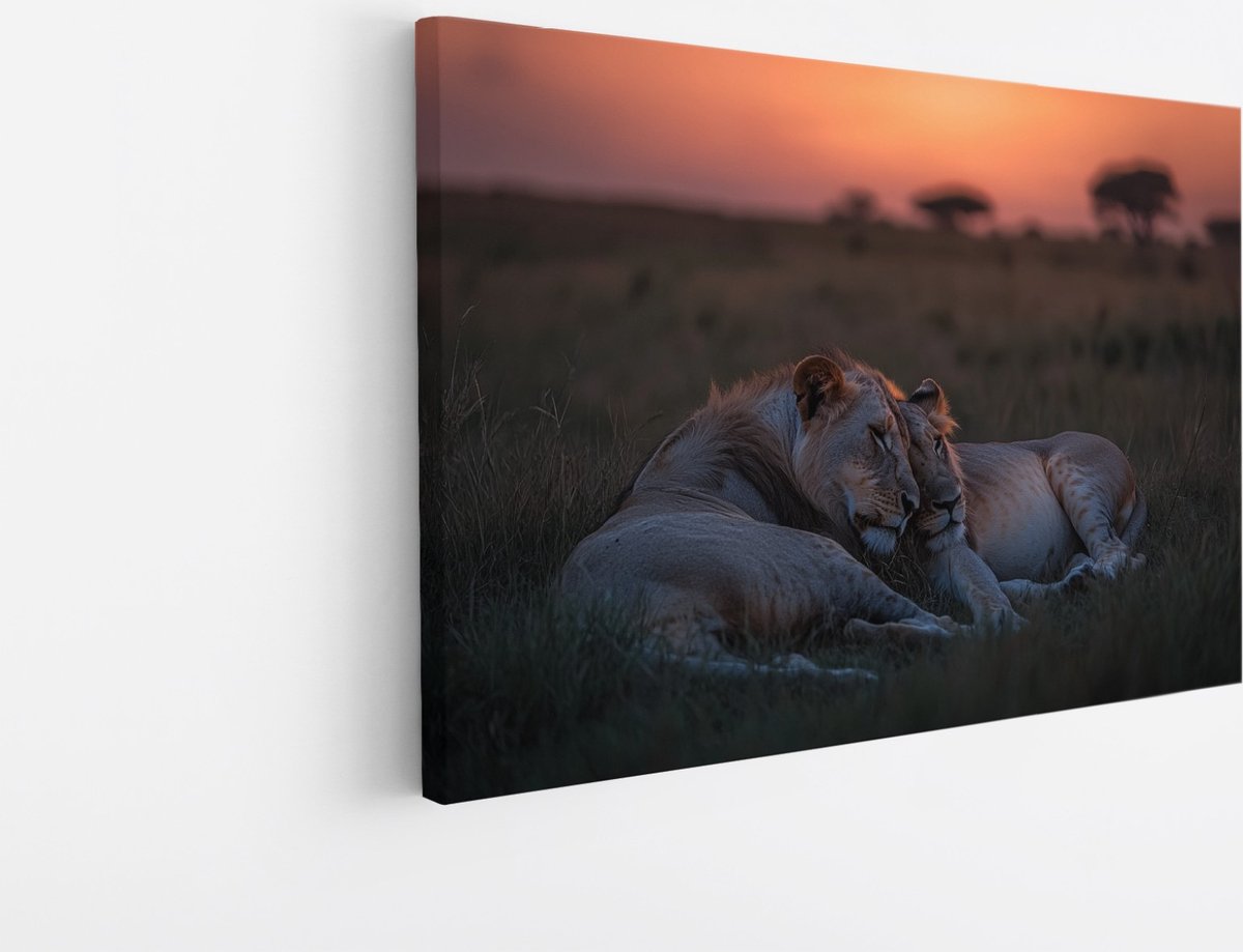 Saammp Canvas Schilderij - Leeuwen liggen tegen elkaar aan - Dieren - Natuur - 45x30 - Foto op canvas - Wanddecoratie - Muurdecoratie Woonkamer - Slaapkamer decoratie - Canvas Print Multicolor