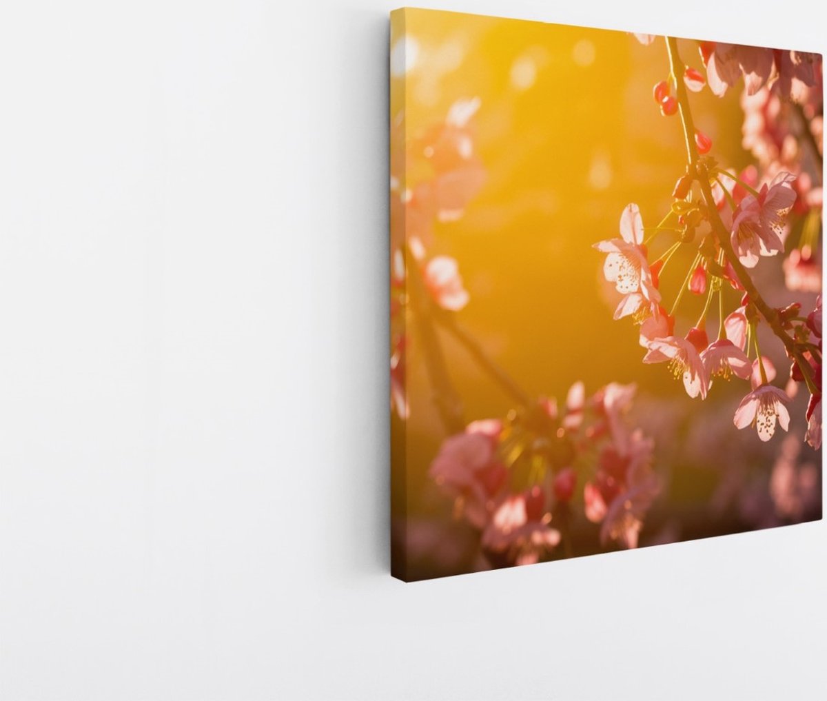 Saammp Canvas Schilderij - Roze Bloemen in zonsondergang - Natuur - 30x30 - Foto op canvas - Wanddecoratie - Muurdecoratie Woonkamer - Kantoor Decoratie Multicolor