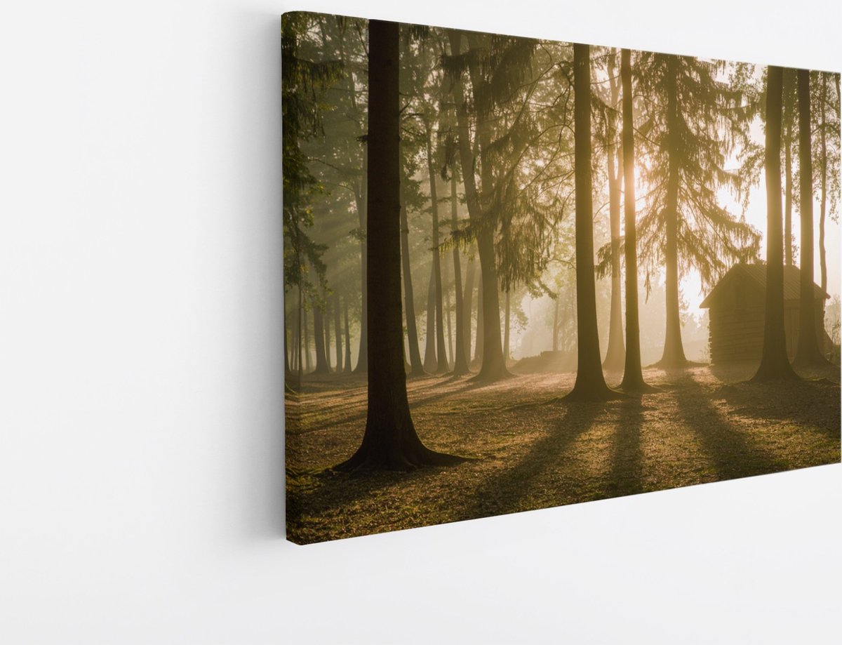 Saammp Canvas Schilderij - Huis - Grote Bomen - Landschap - Natuur - 40x30 - Foto op canvas - Wanddecoratie - Muurdecoratie Woonkamer - Slaapkamer decoratie - Canvas Print Multicolor
