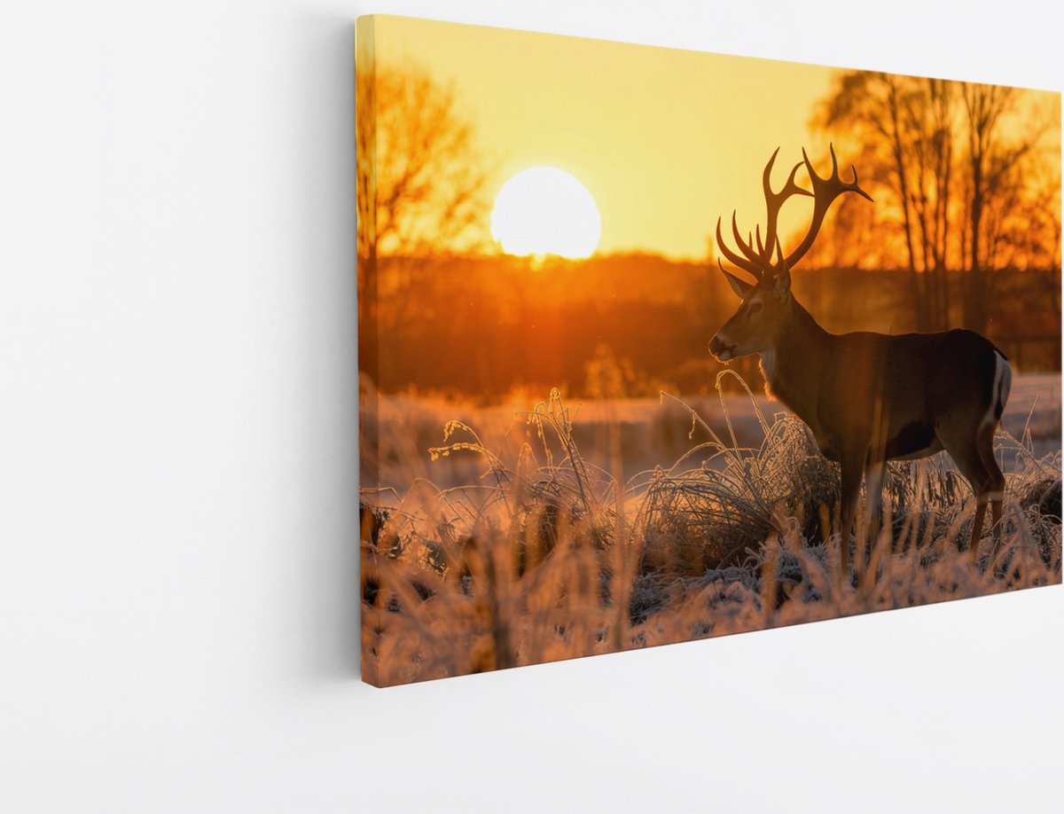 Saammp Canvas Schilderij - Hert - Zonsondergang - Winter - Natuur - Dieren - 90x60 - Foto op canvas - Wanddecoratie - Muurdecoratie Woonkamer - Slaapkamer decoratie - Canvas Print Multicolor